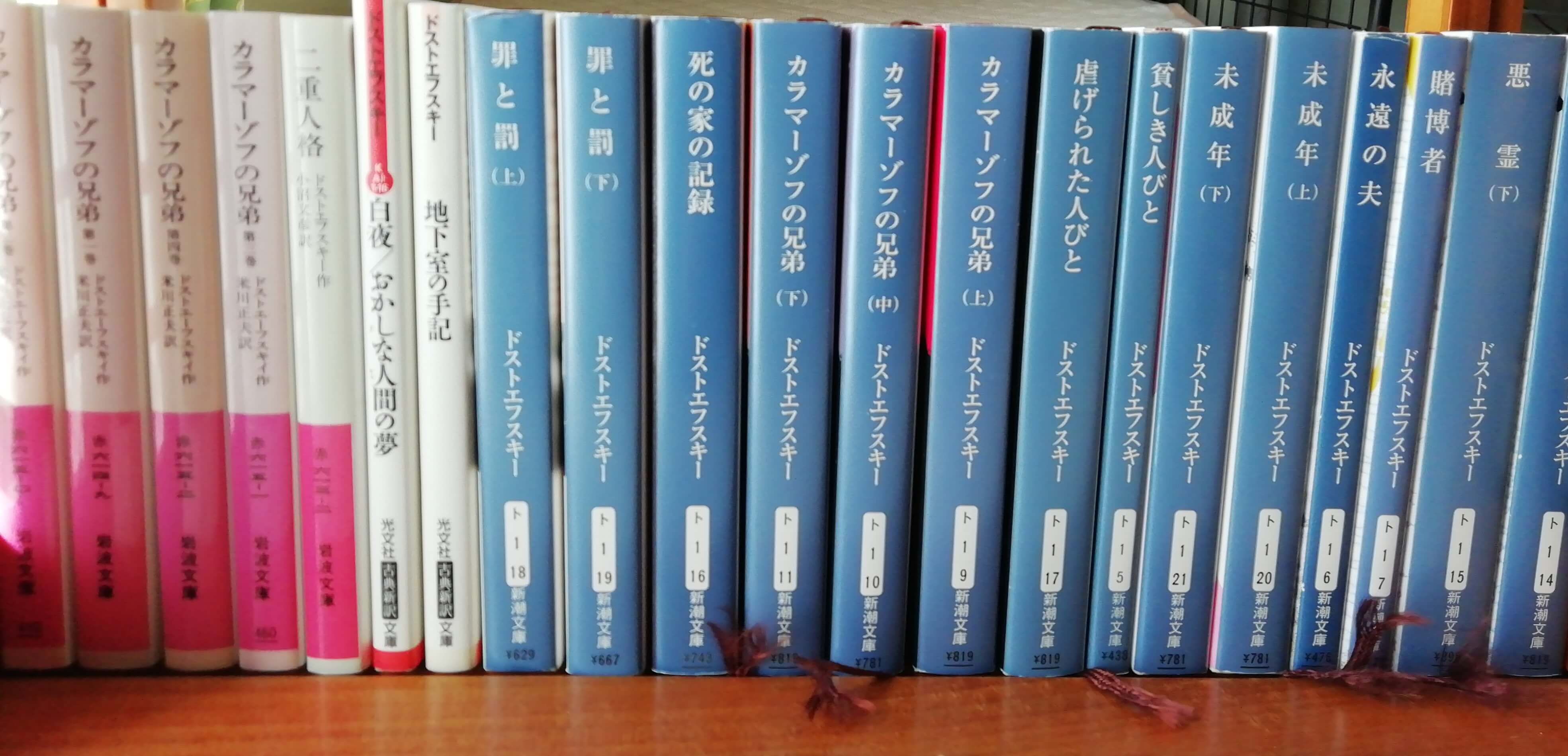ドストエフスキーの小説はどれから読むべきか？【この順番がおすすめ 